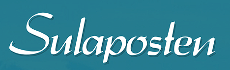 Sponsor logo #17