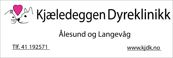 Sponsor logo #31